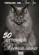 50 оттенков Вениамина
