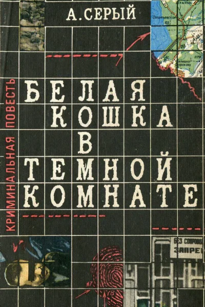 А Серый  Белая кошка в темной комнате