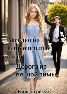 Абсолютно неправильные люди Дорога из вечной зимы
