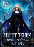 Адепт теней Неслучайная встреча