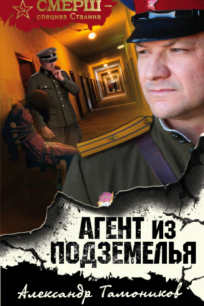 Агент из подземелья  Александр Тамоников