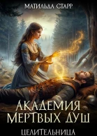 Академия мертвых душ Целительница