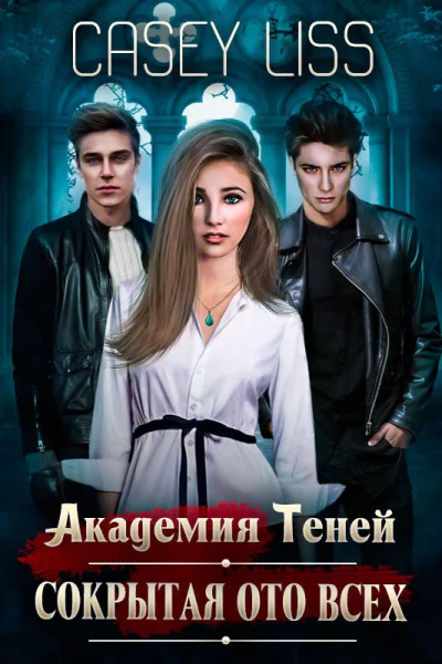 Академия Теней Сокрытая ото всех