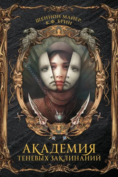 Академия теневых заклинаний  роман  Шеннон Майер КФ Брин пер с англ С Дороховой