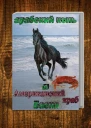 Американский краб и Арабский конь СИ