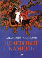Анатолий Давыдов Целебный камень