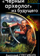 Анатолий Спесивцев Черный археолог из будущего Дикое Поле