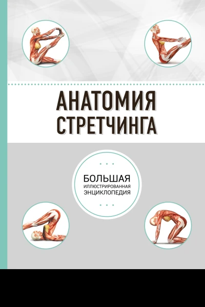 Анатомия стретчинга Большая иллюстрированная энциклопедия