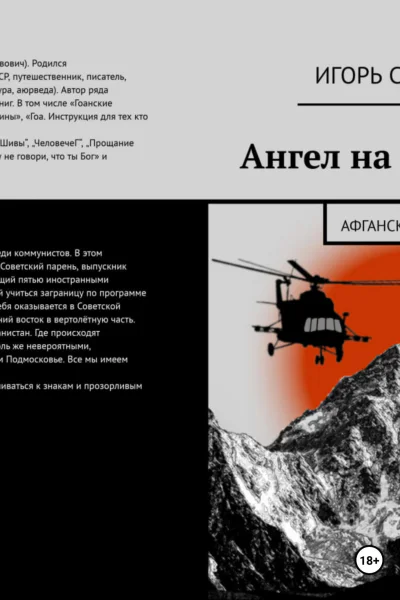 Ангел на фюзеляже