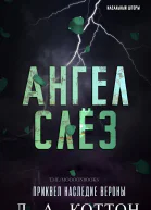 Ангел слёз