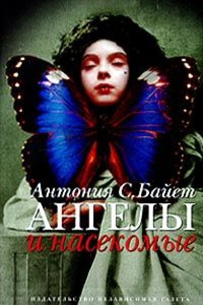 Ангелы и насекомые