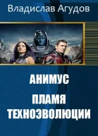Анимус Пламя техноэволюции СИ