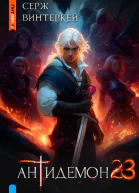 Антидемон Книга 23