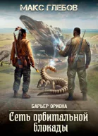 Барьер Ориона  6 Сеть орбитальной блокады