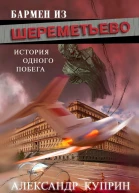 Бармен из Шереметьево История одного побега