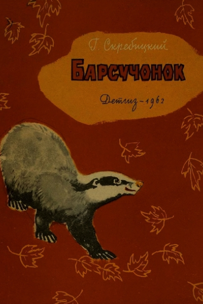 Барсучонок
