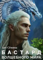 Бастард Волшебного мира