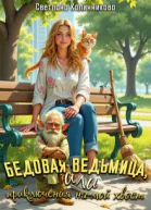 Бедовая ведьмица или приключения на мой хвост