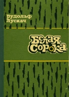 Белая сорока