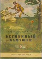 Бесценый камушек