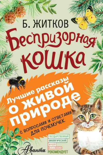 Беспризорная кошка сборник С вопросами и ответами для почемучек