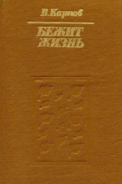 Бежит жизнь
