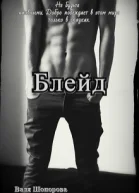 Блейд СИ
