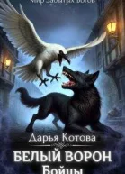 Бойцы