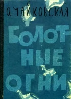 Болотные огни Роман