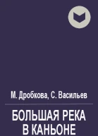Большая река в каньоне