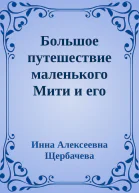 Большое путешествие маленького Мити и его семьи