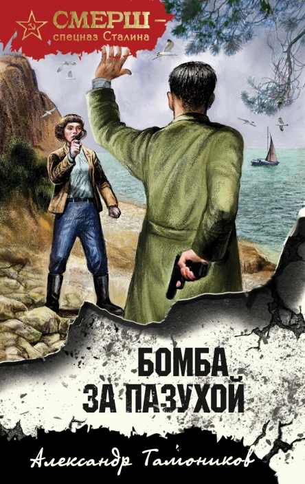 Бомба за пазухой  Александр Тамоников