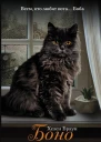Боно Удивительная история спасенного кота вдохновившего общество