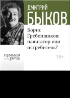 Борис Гребенщиков навигатор или истребитель