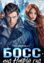 Босс под Новый Год СИ