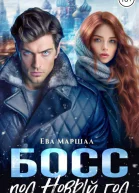 Босс под Новый Год СИ