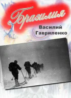 Бразилия СИ