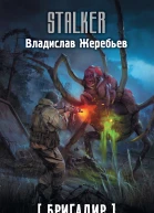 Бригадир Судьба Артефакта