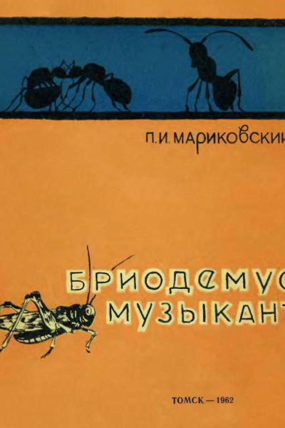 Бриодемусмузыкант