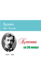 Бунин за 30 минут