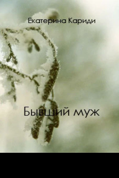 Бывший муж СИ