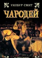 Чародей