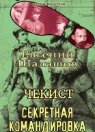 Чекист Секретная командировка  Евгений Шалашов