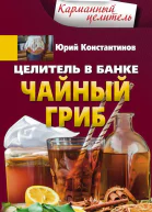 Целитель в банке Чайный гриб