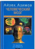 Человеческий мозг