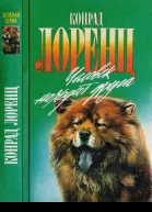 Человек находит друга