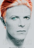 Человек упавший на Землю