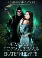 Чемодан портал Земля  Екатеринбург СИ