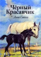 Черный Красавчик