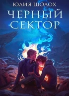Чёрный сектор